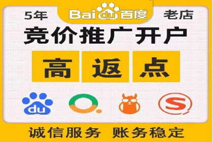 百度推广费用投入与品牌知名度提升的案例分析